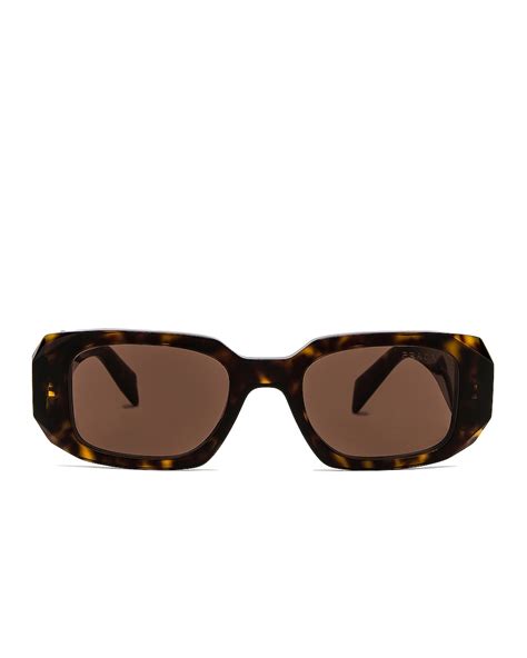 Prada Scultoreo Narrow Sunglasses in Havana .